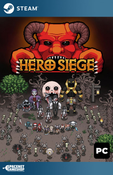 Hero Siege Steam [Online + Offline]